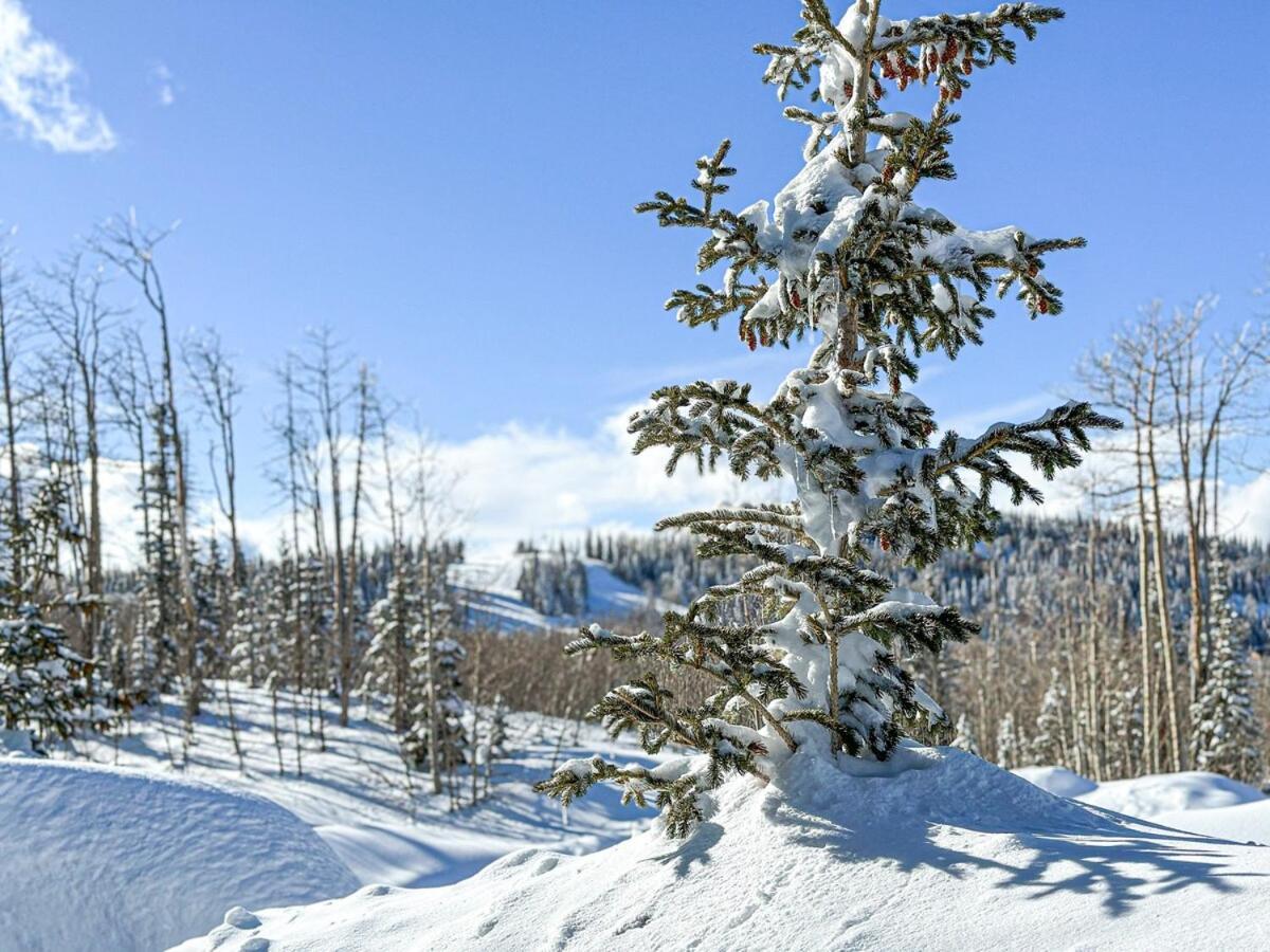 Eagle Roost Retreat By Ski Lifts 布赖恩峰 外观 照片